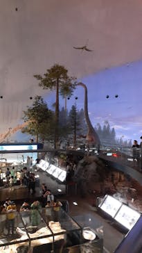 福井県立恐竜博物館に投稿された画像（2025/7/22）