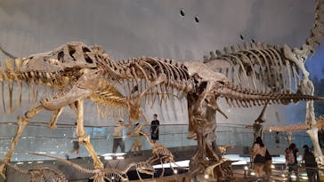 福井県立恐竜博物館に投稿された画像（2025/7/22）