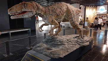 福井県立恐竜博物館に投稿された画像（2025/7/22）