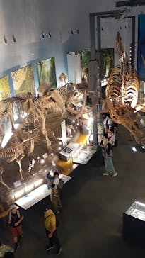 福井県立恐竜博物館に投稿された画像（2025/7/22）