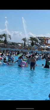 蓮沼ウォーターガーデンに投稿された画像（2025/7/22）