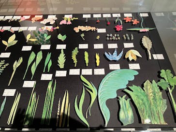 レオ・レオーニの絵本づくり展に投稿された画像（2025/7/22）