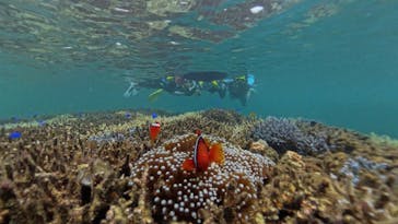 LOUTRE ISHIGAKIに投稿された画像（2025/7/22）