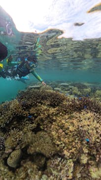 LOUTRE ISHIGAKIに投稿された画像（2025/7/22）