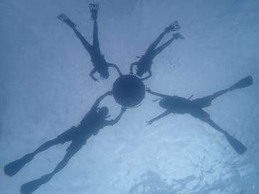 LOUTRE ISHIGAKIに投稿された画像（2025/7/22）