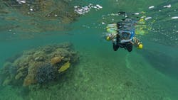 LOUTRE ISHIGAKIに投稿された画像（2025/7/22）