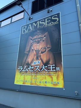 ACN ラムセス大王展 ファラオたちの黄金に投稿された画像（2025/7/23）