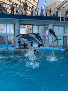 横浜・八景島シーパラダイスに投稿された画像（2025/7/23）