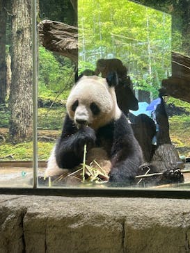 恩賜上野動物園に投稿された画像（2025/7/23）