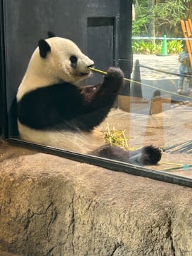 恩賜上野動物園に投稿された画像（2025/7/23）
