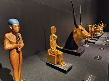 MYSTERY OF TUTANKHAMEN 体感型古代エジプト展に投稿された画像（2025/7/23）