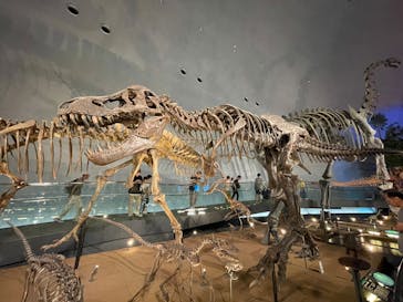 福井県立恐竜博物館に投稿された画像（2025/7/23）