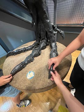 福井県立恐竜博物館に投稿された画像（2025/7/23）