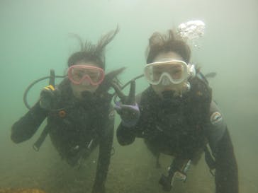 武藤潜水に投稿された画像（2025/7/23）