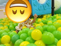 キッズランドUS 埼玉熊谷店に投稿された画像（2025/7/23）