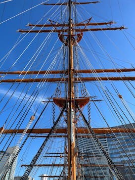 帆船日本丸・横浜みなと博物館 柳原良平アートミュージアムに投稿された画像（2025/7/23）
