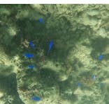 武藤潜水に投稿された画像（2025/7/23）