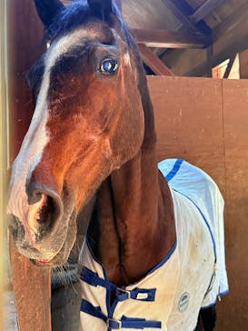 ノーザンホースパークに投稿された画像（2025/7/23）