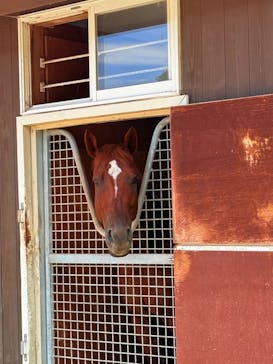 ノーザンホースパークに投稿された画像（2025/7/23）