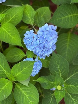 ノーザンホースパークに投稿された画像（2025/7/23）