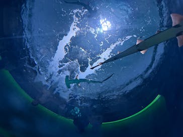 四国水族館に投稿された画像（2025/7/23）