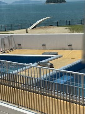 四国水族館に投稿された画像（2025/7/23）