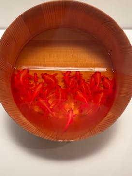 あべのハルカス美術館に投稿された画像（2025/7/23）