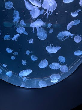 AOAO SAPPOROに投稿された画像（2025/7/23）