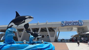 鴨川シーワールドに投稿された画像（2025/7/23）