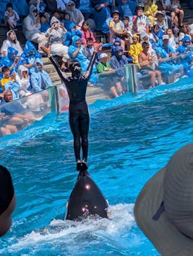 鴨川シーワールドに投稿された画像（2025/7/23）