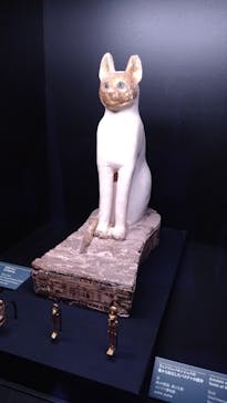 ACN ラムセス大王展 ファラオたちの黄金に投稿された画像（2025/7/23）