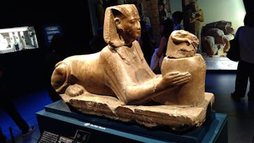 ACN ラムセス大王展 ファラオたちの黄金に投稿された画像（2025/7/23）