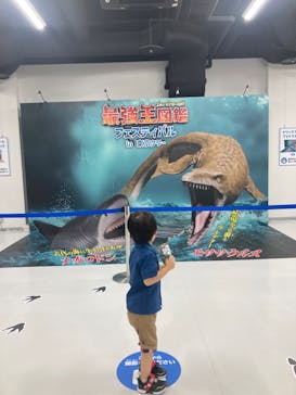 最強王図鑑フェスティバル in 東京タワーに投稿された画像（2025/7/23）