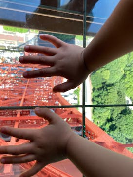 最強王図鑑フェスティバル in 東京タワーに投稿された画像（2025/7/23）