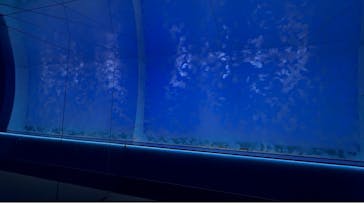 アクアワールド茨城県大洗水族館に投稿された画像（2025/7/23）