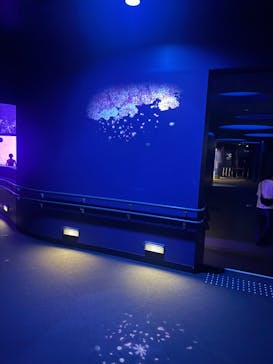 アクアワールド茨城県大洗水族館に投稿された画像（2025/7/23）