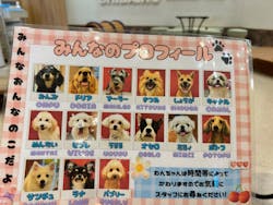 いぬカフェRio イオンモール福岡店に投稿された画像（2025/7/23）