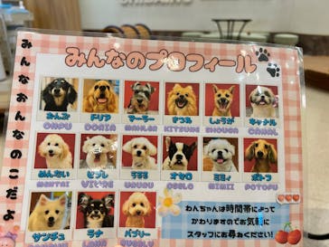 いぬカフェRio イオンモール福岡店に投稿された画像（2025/7/23）