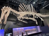 福井県立恐竜博物館に投稿された画像（2025/7/23）