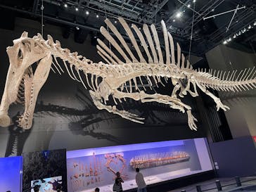 福井県立恐竜博物館に投稿された画像（2025/7/23）