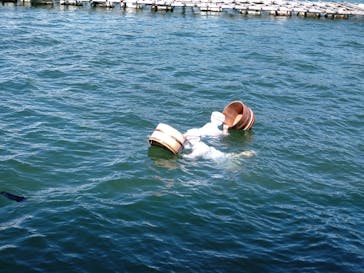 ミキモト真珠島に投稿された画像（2025/7/23）