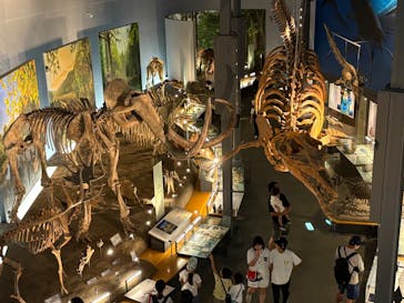 福井県立恐竜博物館に投稿された画像（2025/7/23）