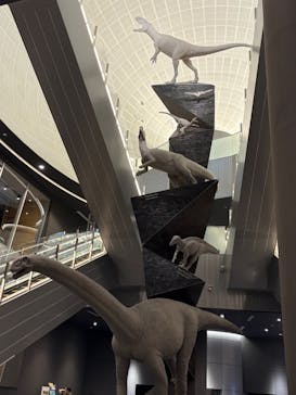 福井県立恐竜博物館に投稿された画像（2025/7/23）