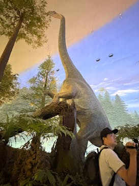 福井県立恐竜博物館に投稿された画像（2025/7/23）