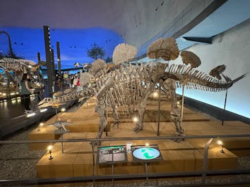 福井県立恐竜博物館に投稿された画像（2025/7/23）