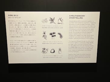 クリムト・アライブに投稿された画像（2025/7/23）