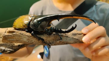 淡路ファームパーク イングランドの丘に投稿された画像（2025/7/23）