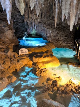 おきなわワールドに投稿された画像（2025/7/23）