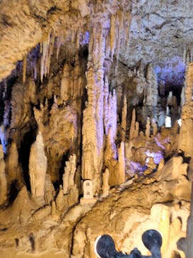 おきなわワールドに投稿された画像（2025/7/23）