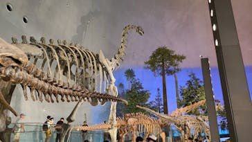 福井県立恐竜博物館に投稿された画像（2025/7/23）